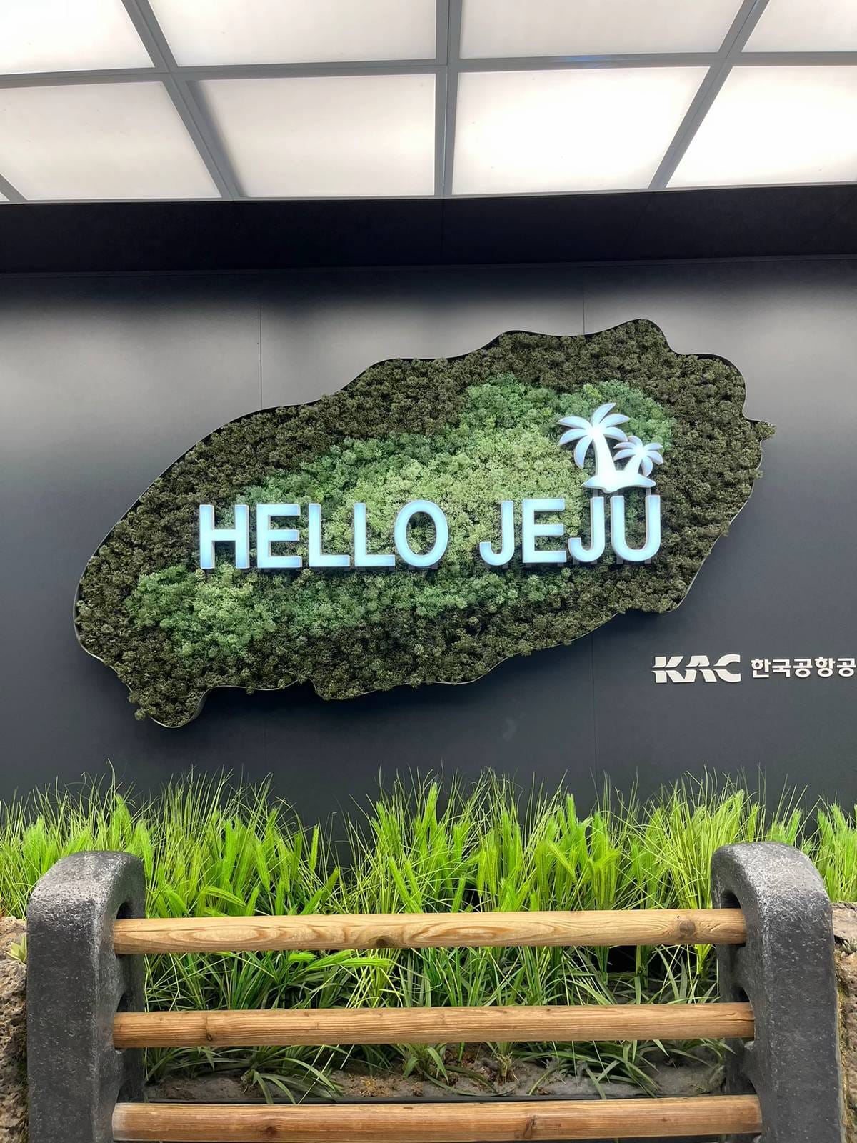 Liburan seru Jeju Korea Selatan