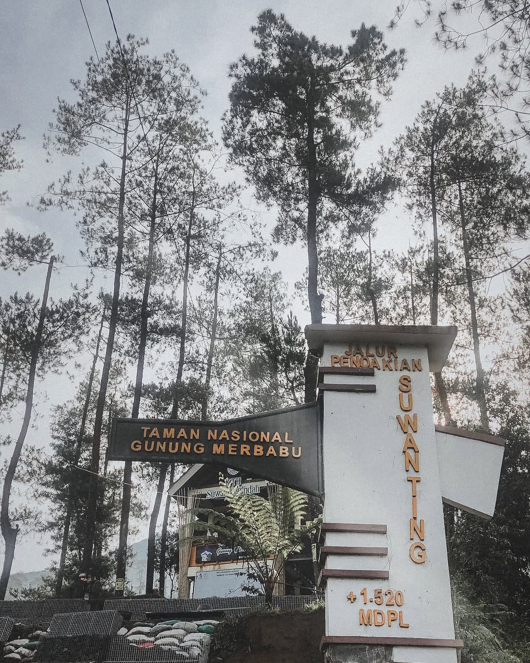 Petualangan Mendaki Gunung Merbabu Jalur Suwanting 3D2N
