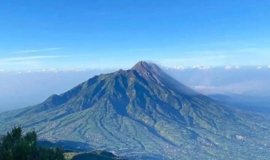 Pendakian Gunung Gede: Menyatu dengan Alam di Surya Kencana