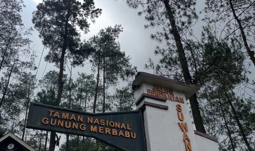 Petualangan Mendaki Gunung Merbabu Jalur Suwanting 3D2N