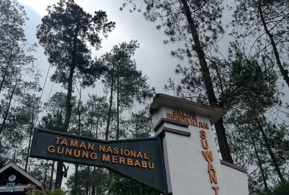 Petualangan Mendaki Gunung Merbabu Jalur Suwanting 3D2N