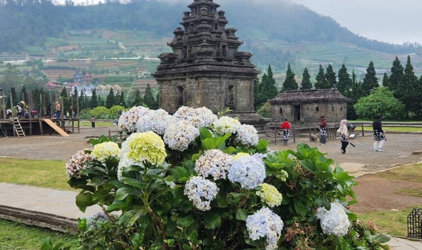 Nikmati Trip Dieng Selama 3 Hari 2 Malam