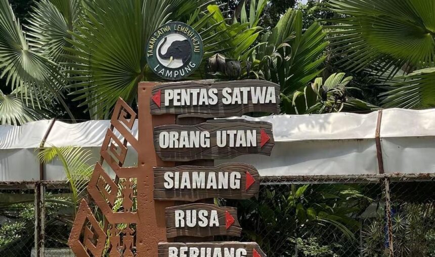 Lembah Hijau Lampung Wisata Alam dan Edukasi Keluarga 