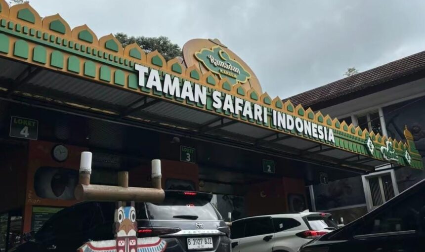 Liburan Ke Taman Safari Indonesia