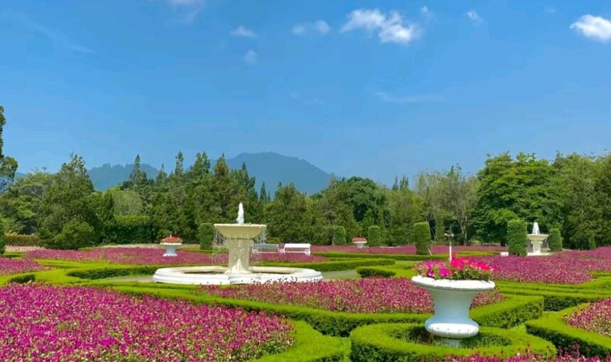 Menjelajahi Keindahan Taman Bunga Nusantara Bogor
