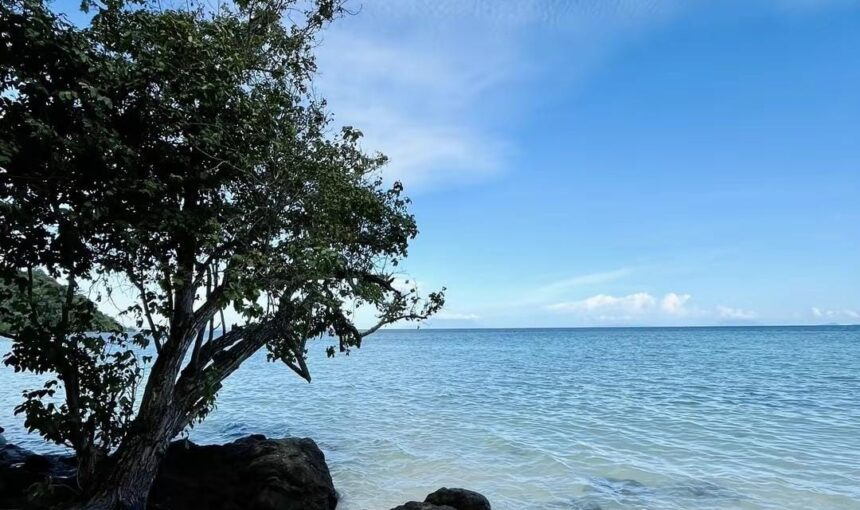 Surga Bawah Laut Pulau Pahawang